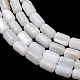 Natural Freshwater Shell Beads Strands(SH-CBA2978-21A)-2