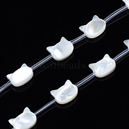 Natural White Shell Beads Strands, Cat, 8x10x3~4mm, Hole: 0.5~0.6mm, about 20pcs/strand, 16.30 inch~17.52 inch(41.4cm~44.5cm)(SSHEL-S278-124A)