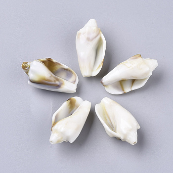 Acrylic Beads, Imitation Gemstone Style, Cone Shell, Floral White, 30x15x14mm, Hole: 1.6mm, about 205pcs/500g.