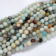 Natural Flower Amazonite Beads Strands, Round, 6mm, Hole: 1mm, about 61pcs/strand, 15.5 inch(39.5cm)(G-G692-01-6mm)