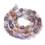 Natural Botswana Agate Beads Strands, Tumbled Stone, Nuggets, 7~11x7~8mm, Hole: 1mm, about 47~48pcs/strand, 15.94 inch(40.5cm)(G-P433-20)