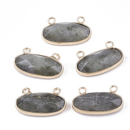 Natural Labradorite Pendants, with Brass Findings, Faceted, Oval, Golden, 14x24.5~25x5.5~6mm, Hole: 2.5mm(G-S344-44C)