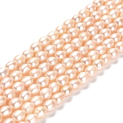 Natural Cultured Freshwater Pearl Beads Strands, Rice, Grade 2A, PeachPuff, 6~7x5~6mm, Hole: 0.5mm, about 54pcs/strand, 14.17 inch(36cm)(PEAR-E016-149)