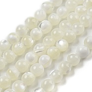 Natural Trochid Shell/Trochus Shell Beads Strands, Bleach, Round, White, 3~3.5mm, Hole: 0.3mm, about 119pcs/strand, 15''(38.1cm)(BSHE-Z005-04A)