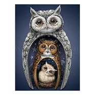 Owl Pattern DIY Diamond Painting Kit, Including Resin Rhinestones Bag, Diamond Sticky Pen, Tray Plate and Glue Clay, Colorful, 300x400mm(PW-WG91453-05)