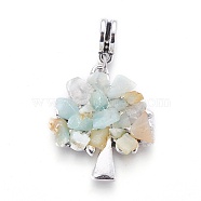 Alloy European Dangle Charms, with Natural Amazonite Chips, Tree, Antique Silver, 40mm, Hole: 4.5mm, 28x24x4~5mm(PALLOY-JF00356-02)