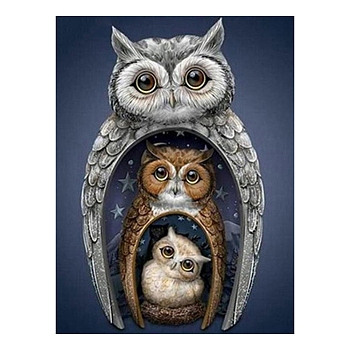 Owl Pattern DIY Diamond Painting Kit, Including Resin Rhinestones Bag, Diamond Sticky Pen, Tray Plate and Glue Clay, Colorful, 300x400mm
