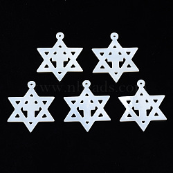 Natural Freshwater Shell Pendants, for Jewish, Star of David with Cross, 25x22x1.5mm, Hole: 1mm(SHEL-N027-14)