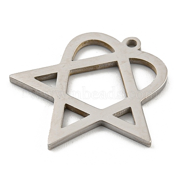 304 Stainless Steel Pendants(STAS-R228-03P)-2