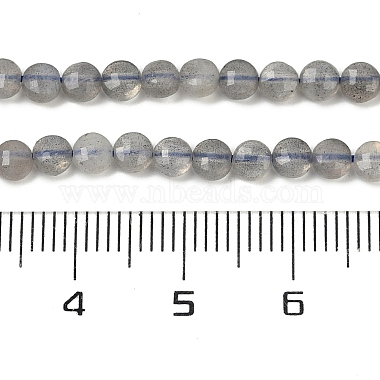 Natural Labradorite Beads Strands(G-R462-008-01)-4