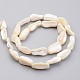 Natural Shell Bead Strands(BSHE-P021-04)-2