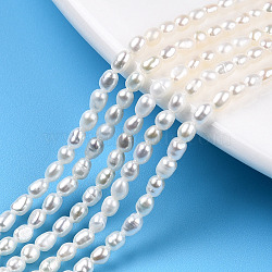 Natural Cultured Freshwater Pearl Beads Strands, Rice, Seashell Color, 3~4x2.5mm, Hole: 0.5mm, about 101~104pcs/strand, 13.78 inch(35cm)(PEAR-N012-02L)