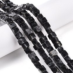 Natural Larvikite Beads Strands, Cube, 6~7x6~6.5x6~6.5mm, Hole: 1mm, about 60~61pcs/strand, 15~15.366''(38.1~39cm)(G-T139-6x6-25A)