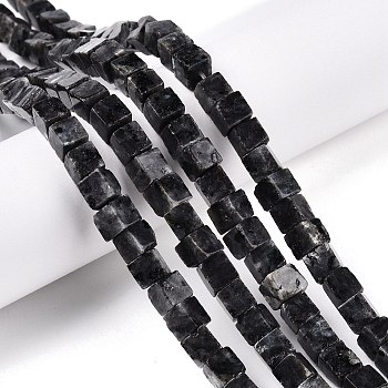 Natural Larvikite Beads Strands, Cube, 6~7x6~6.5x6~6.5mm, Hole: 1mm, about 60~61pcs/strand, 15~15.366''(38.1~39cm)