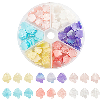 BENECREAT 120Pcs 6 Colors Acetate(Resin) Pendants, with Glitter powder, Rainbow Gradient Mermaid Pearl Style, Fish, Mixed Color, 20pcs/color