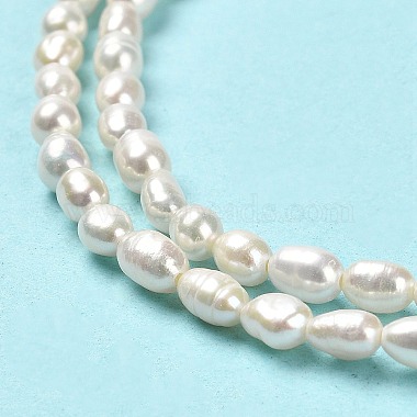 Natural Cultured Freshwater Pearl Beads Strands(PEAR-E016-124)-4