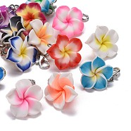 Polymer Clay Pendants, with Alloy Lobster Claw Clasp, Plumeria Flower, Mixed Color, 30mm(CLAY-WH0001-10P-M)