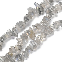 Natural Labradorite Beads Strands, Chip, 5~15x5.5~6x2.5~4mm, Hole: 0.7mm, 30.31''~30.71''(77~78cm)(G-P497-03A-04)