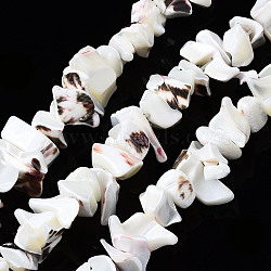 Natural Trochid Shell/Trochus Shell Beads Strands, Bleach, Chip, Seashell Color, 2~9x7~26x5~15mm, Hole: 1mm, about 75~52pcs/strand, 15.75 inch(40cm)(SSHEL-S266-004)