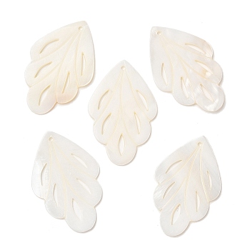 Natural Freshwater Shell Pendants, Leaf Charms, Seashell Color, 44.5x28.5~29x1.5mm, Hole: 1.6mm