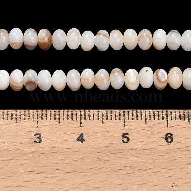 Natural Freshwater Shell Beads Strands(SHEL-C010-04B-01)-4