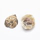 Natural Geode Agate Beads(G-O182-03)-2