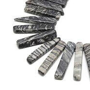 Natural Black Silk Stone/Netstone Beads Strands, Rectangle, 20~65x7~15x6~10mm, Hole: 2mm, about 30~40pcs/strand, 15.75 inch(40cm)(G-R419-11)