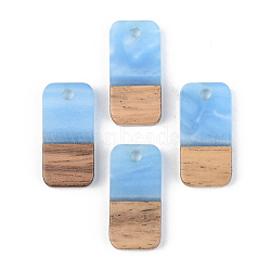 Opaque Resin & Walnut Wood Pendants, Rectangle, Cornflower Blue, 21.5x10x3mm, Hole: 2mm(RESI-S389-044A-C01)
