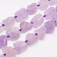 Natural Amethyst Beads Strands, Nuggets, Medium Orchid, 18~35x15~26x9~21mm, Hole: 1mm(G-G543-03B)