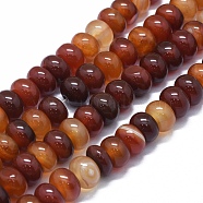 Natural Red Agate Beads Strands, Dyed & Heated, Rondelle, Brown, 12~14x7~9mm, Hole: 2mm, about 47~50pcs/strand, 15.7 inch~16.1 inch(40~41cm)(G-I245-68B)