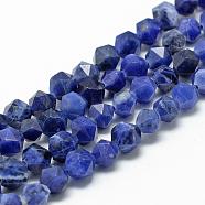 Natural Sodalite Beads Strands, Star Cut Round Beads, Faceted, 6~7x5~6mm, Hole: 1mm, about 60pcs/strand, 14.37 inch(G-R448-6mm-09)