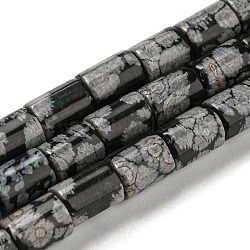 Natural Snowflake Obsidian Stone Beads Strands, Column, 7.5~8x6mm, Hole: 1.2mm, about 48~50pcs/strand,  15.16''~15.31''(38.5~38.9cm)(G-Q1008-A02)