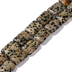 Natural Dalmatian Jasper Beads Strands, Rectangle, 18x13.5x5.5mm, Hole: 1.2mm, about 22pcs/strand, 15.75 inch(40cm)(G-T047-B16-01)