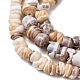 Natural Shell Beads Strands(SH-CBA2978-03)-2
