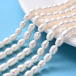 Natural Cultured Freshwater Pearl Beads Strands, Rice, Seashell Color, 6.5~7.5x6.5~15, hole: 0.8mm, about 19~22pcs/strand, 6.89 inch~7.09 inch(17.5cm~18cm)(X-PEAR-N012-06D)