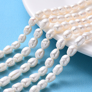 Natural Cultured Freshwater Pearl Beads Strands, Rice, Seashell Color, 6.5~7.5x6.5~15, hole: 0.8mm, about 19~22pcs/strand, 6.89 inch~7.09 inch(17.5cm~18cm)