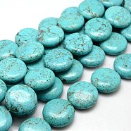Natural Magnesite Beads Strands, Dyed & Heated, Flat Round, Turquoise, 30x12mm, Hole: 1mm, about 61pcs/1000g(TURQ-L006-06)