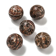 Natural Leopard Skin Jasper Round Ball Figurines Statues for Home Office Desktop Decoration, 20mm(G-P532-02A-20)