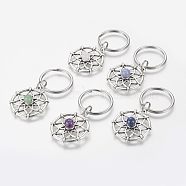 Alloy Gemstone Keychain, with 316 Surgical Stainless Steel Key Ring, 58mm(X-KEYC-JKC00143)