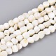 Natural Freshwater Shell Beads Strands(BSHE-T014-51B)-1