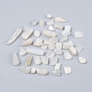 Natural White Moonstone Beads, No Hole/Undrilled, Chip, 7~18x4~6x2~5mm, about 1388pcs/500g(G-I304-04)