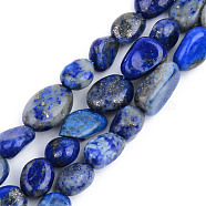 Natural Lapis Lazuli Beads Strands, Tumbled Stone, Nuggets, 5~13x5~10x3~8mm, Hole: 1mm, about 40~60pcs/strand, 14.57 inch~15.74 inch(37~40cm)(G-S359-155)