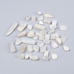 Natural White Moonstone Beads, No Hole/Undrilled, Chip, 7~18x4~6x2~5mm, about 1388pcs/500g(G-I304-04)