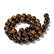Natural Grade AB Tiger Eye Round Beads Strands, 10mm, Hole: 1mm, about 39pcs/strand, 15''(38.1cm)(G-YW0001-58C)