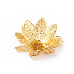 Electroplated Iron Bead Cap, Flower, Multi-Petal, Golden, 28x13mm, Hole: 1mm(X-IFIN-F160-01G)