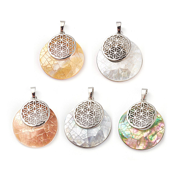 Natural Mixed Shell Pendants, with Platinum Tone Brass Findings, Flat Round with Flower of Life/Sacred Geometry, 32~32.5x28x7~7.5mm, Hole: 5x8mm