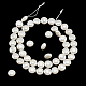 1 brins de perles de coquillage galvanisées(BSHE-NB0001-20)-2
