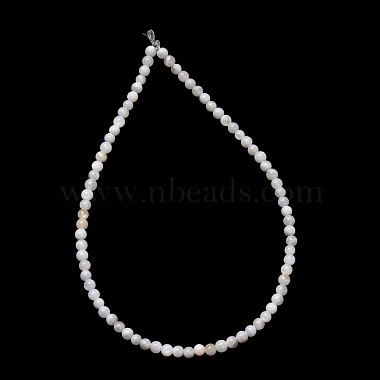 Natural Freshwater Shell Beads Strands(SH-CBA2978-07D-02)-3