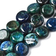 Natural Chrysocolla and Lapis Lazuli Beads Strands, Flat Round, 8x4mm, Hole: 1mm, about 51pcs/strand, 15.87 inch(40.3cm)(G-N330-032B-01)