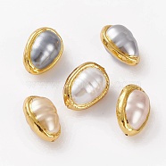 Natural Shell Beads, with Golden Brass Edge, Teardrop, 25~26x18~18.5x15~15.5mm, Hole: 0.8mm(BSHE-C001-04G)